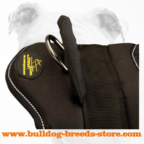 Handle on Pulling Nylon Bulldog Harness