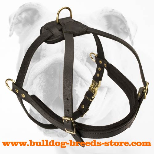 Soft Training Leather Bulldog Harness
