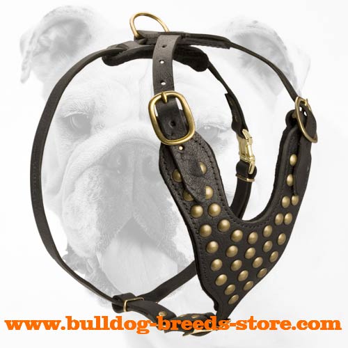 Safe Adjustable Studded Leather Bulldog Harness