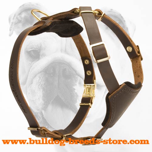 Super Durable Leather Bulldog Puppy Harness