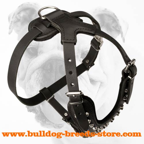 Comfortable Training Leather Bulldog Harness with Studs