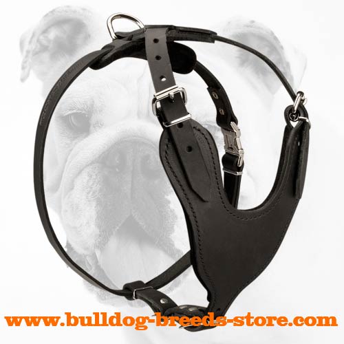 Agitation Training Leather Bulldog Harness with Padded Chest Plate