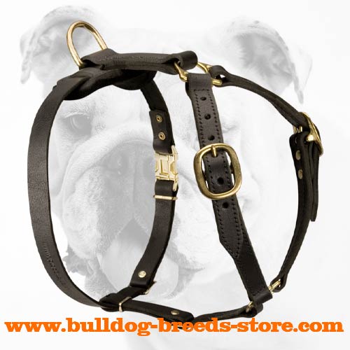 Comfortable Leather Bulldog Harness for Tracking