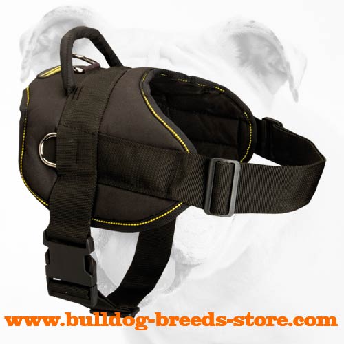 Best Training Nylon Bulldog Harness