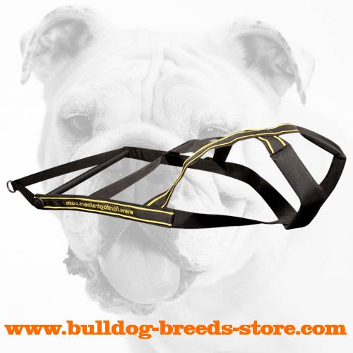 Strong and Durable Nylon Dog Harness for Bulldog