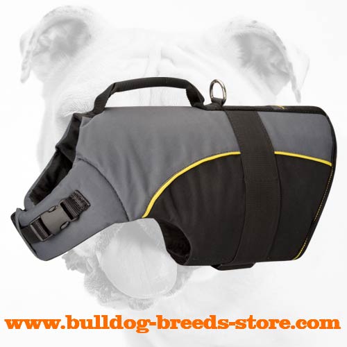 Lightweight Winter Nylon Bulldog Harness