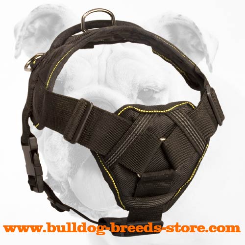 Multifunctional Training Nylon Bulldog Harness