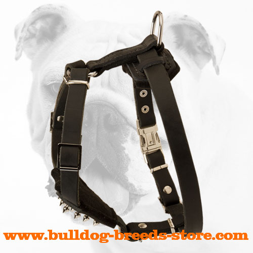 Fashion Walking Leather Bulldog Puppy Harness