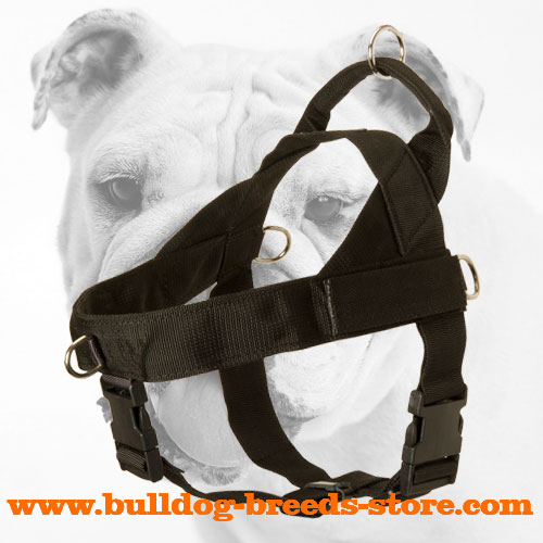Training Nylon Bulldog Harness with Wide Straps