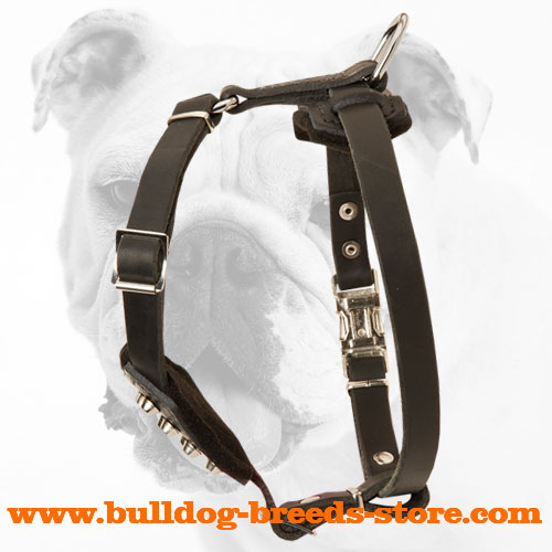 Designer Leather Bulldog Puppy Harness with Wide Straps