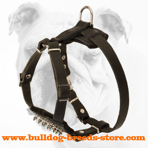 Adjustable Designer Leather Bulldog Puppy Harness