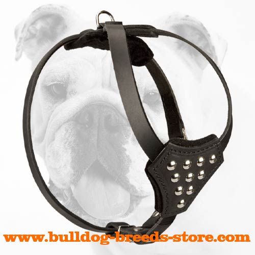 Comfortable Training Studded Leather Dog Harness for Bulldog Puppies
