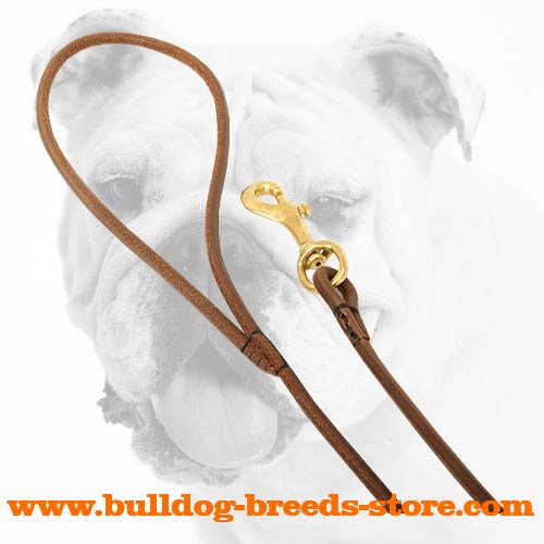 Reliable Leather Bulldog Show Leash