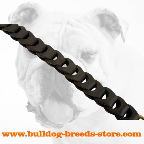 Walking Braided Leather Dog Leash for Bulldog