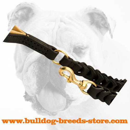 Brass Snap Hook of Braided Leather Bulldog Leash