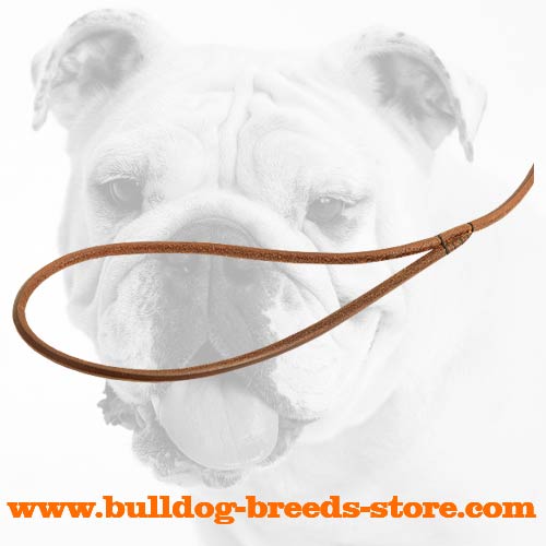 Handle of Best Leather Dog Show Leash for Bulldogs