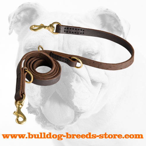 Hand-Stitched Training Leather Dog Leash for Bulldog