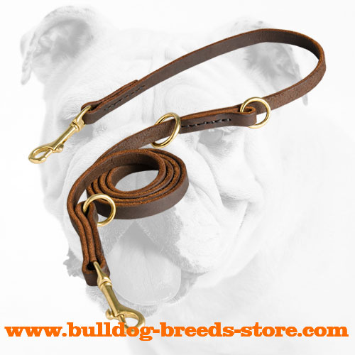 Multimode Training Leather Dog Leash for Bulldog
