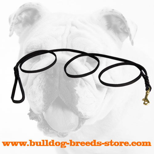 Leather Bulldog Leash with Braids
