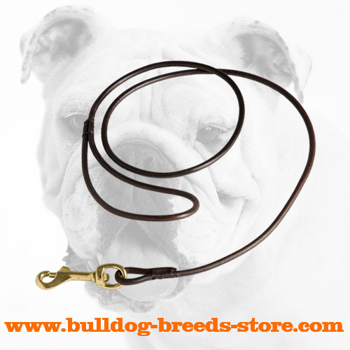 Best Leather Dog Show Leash for Bulldogs