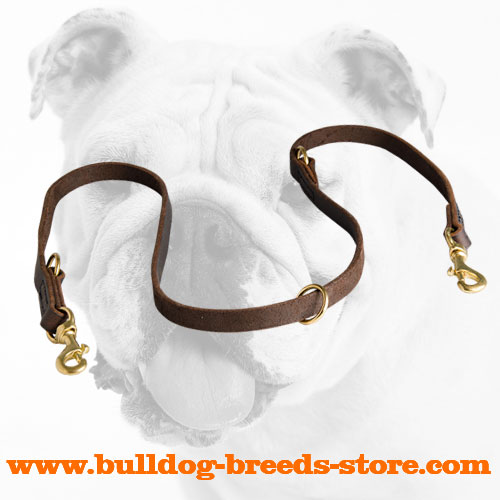 Hand-Made Walking Leather Bulldog Lead