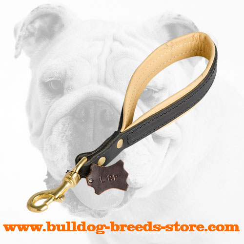 Padded Hand-Stitched Walking Short Leather Bulldog Leash