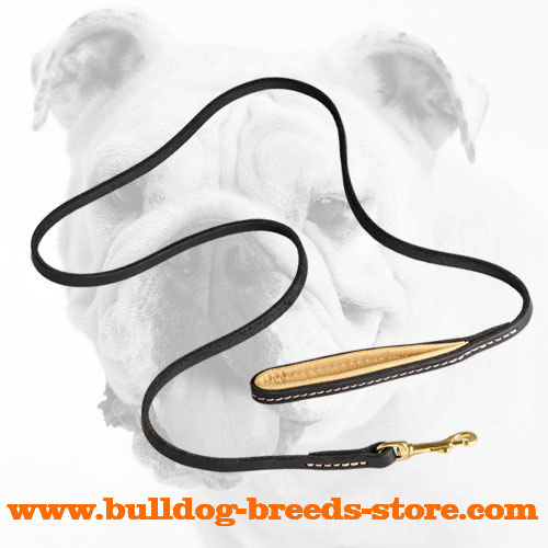 Training Leather Bulldog Leash with Brass Snap Hook