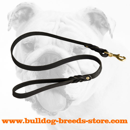 Trendy Training Leather Bulldog Leash