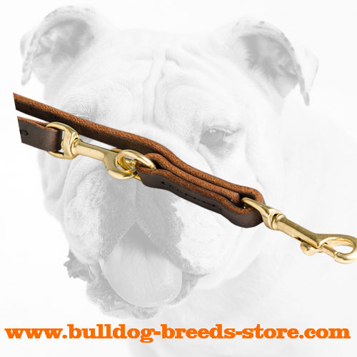 Strong Snap Hook on Leather Bulldog Leash for Patrolling