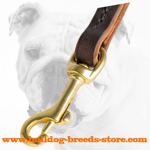Snap Hook on Hand-Made Training Leather Dog Leash for Bulldog