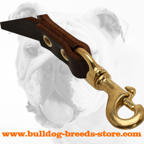 Strong Snap Hook On Training Short Leather Bulldog Leash