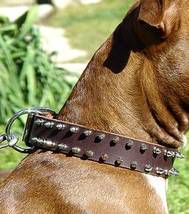 APBT Leather Spiked Dog Collar - 2 Rows of spikes APBT Leather Spiked Dog Collar - 2 Rows of spikes