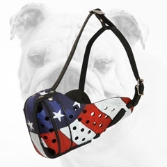Strong Painted Leather American Bulldog Muzzle