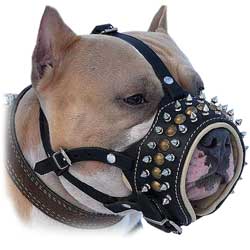 Stylish Walking Leather Bulldog Muzzle
