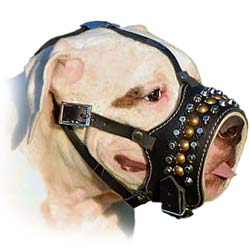 Safe Leather Bulldog Muzzle