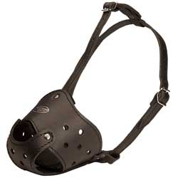 Let your Bulldog feel comfortable when muzzled