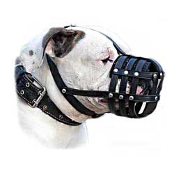Quality Walking Leather Bulldog Muzzle