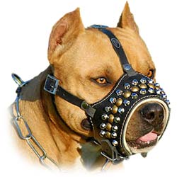 Leather Bulldog Muzzle with Hand-Set Studs
