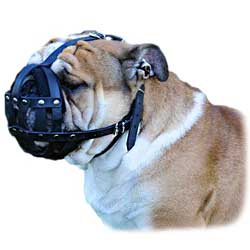 Leather Bulldog Muzzle with Perfect Air Flow
