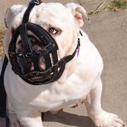 Adjustable Training Leather Bulldog Basket Muzzle