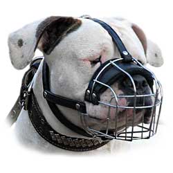 Strong Walking Wire Cage Bulldog Muzzle
