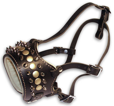 Child Muzzle