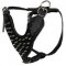 Leather Spiked Dog Harness- Deluxe custom Leather Harness