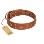 "Dreamy Gleam" FDT Artisan Tan Leather Bulldog Collar Adorned with Stars and Squares