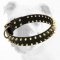 Luxury Spiked Leather Bulldog Collar for Walking