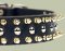 Black Leather Spiked Studded Dog Collar for Bulldog