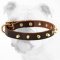 Adjustable Leather Bulldog Collar with Shiny Brass Spikes