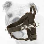 Lightweight Nylon Bulldog Harness for Pulling Activities