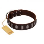 "Spiky Way" FDT Artisan Brown Leather Bulldog Collar with Silver-Like Decorations