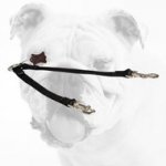 All Weather Nylon Bulldog Coupler